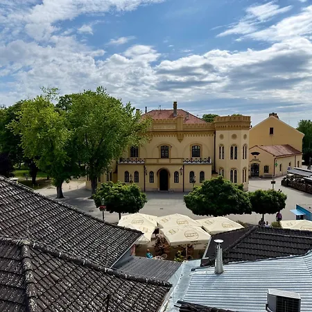 Luxury Penthouse In The Middle Of Old Town ホームステイ Komárno